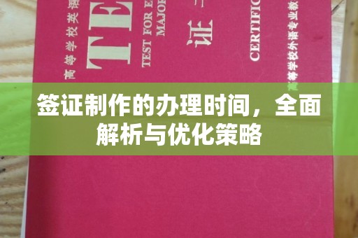 尉氏签证制作的办理时间，全面解析与优化策略