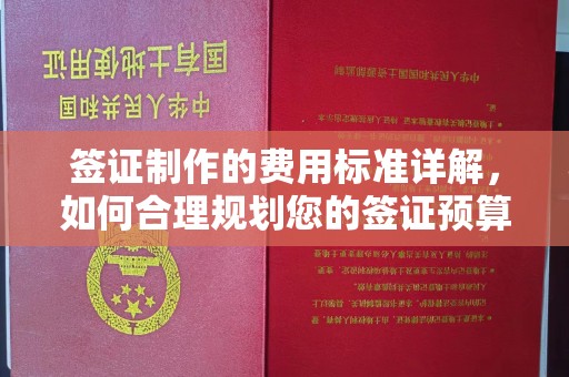 尉氏签证制作的费用标准详解，如何合理规划您的签证预算