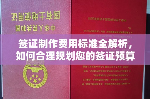 尉氏签证制作费用标准全解析，如何合理规划您的签证预算？